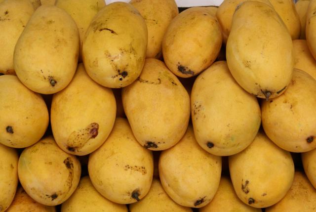 Mango fruit nutrition facts