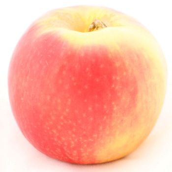 Apple Fruit